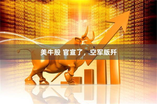 美牛股 官宣了，空军版歼